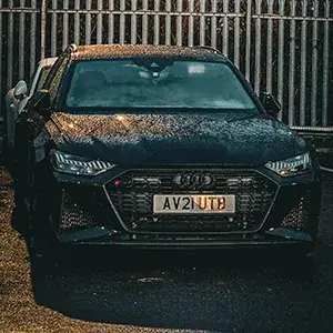 black rover wet