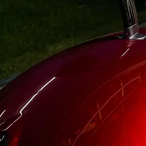 large zoom in on red