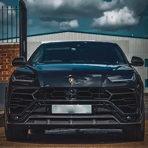 car next to a gate